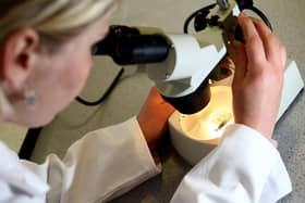 A student looks a matter under a microscope. May 2008.
PA Photo : David Davies.