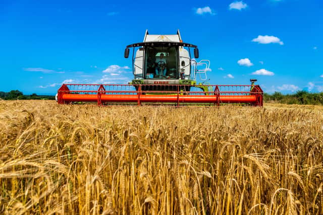 Support our local farmers.