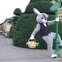 Have fun with the Easter Bunny at The Watercress Line.