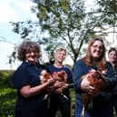 Rose MacDonald, third left, and volunteers. British Hen Welfare Trust rehomes hens, Rowlands Castle
Picture: Chris Moorhouse