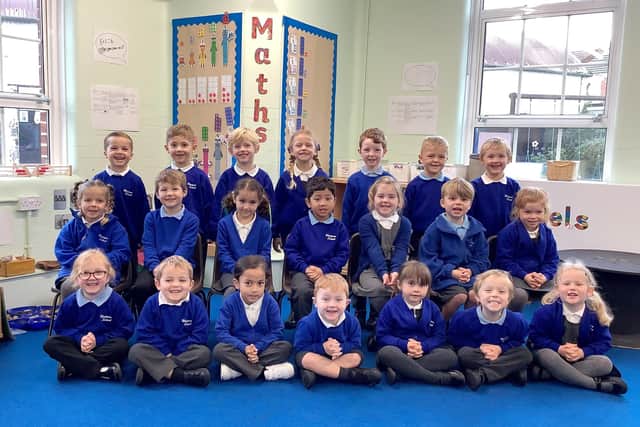 Pufferfish Class