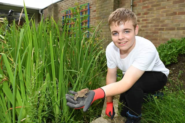 Brune Park Community School garden in Gosport. Danny Hunt, 14, with a toad, moving to to safety at the pond. Picture: Paul Jacobs/pictureexclusive.com