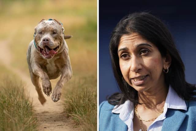The Fareham MP wants to see the breed banned in the UK.