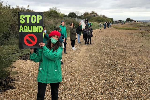 Protestors make their voices heard over the plans for Aquind to run interconnector cables through Portsmouth. Eastney resident Lynne Harvey. October 10, 2020. Picture: Richard Lemmer