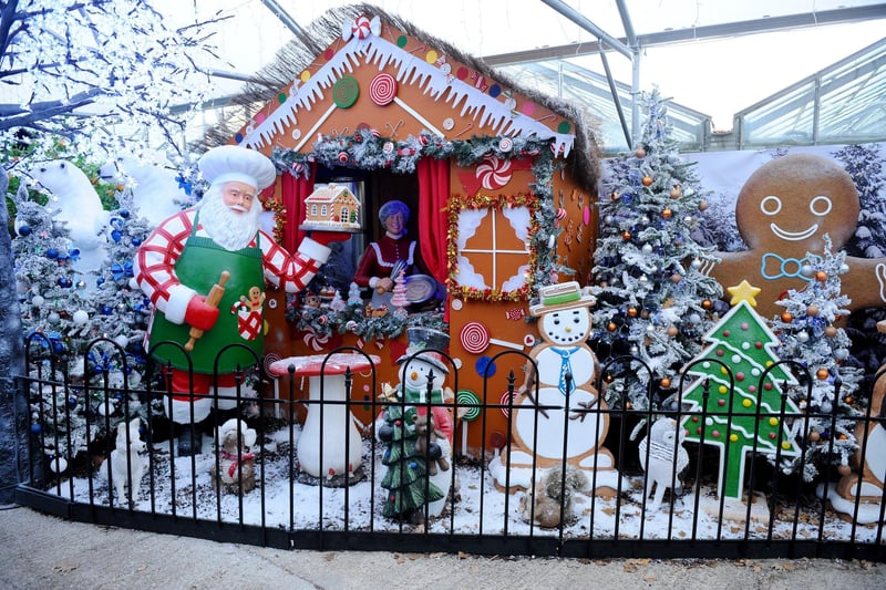 Returning Christmas event Santa’s Woodland Walk launches at Keydell Nurseries, Horndean, on Saturday, November 18. Families will have the chance to meet Father Christmas and explore a festive wonderland. You can find all the details and book tickets here: https://keydellnurseries.co.uk/santa/