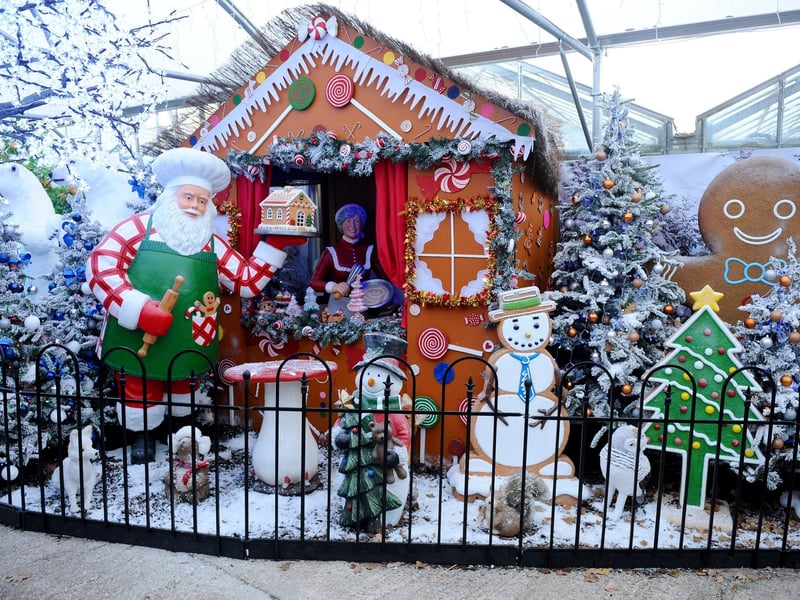 Returning Christmas event Santa’s Woodland Walk launches at Keydell Nurseries, Horndean, on Saturday, November 18. Families will have the chance to meet Father Christmas and explore a festive wonderland. You can find all the details and book tickets here: https://keydellnurseries.co.uk/santa/