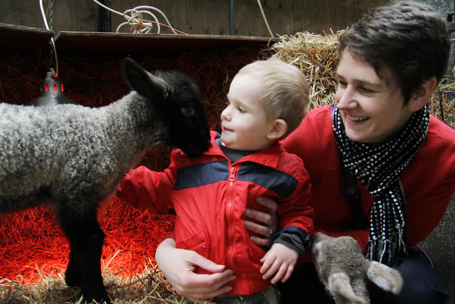 Animal handling sessions, tractor and trailer rides are all on offer this half-term, along with craft sessions and the chance to play in part of the adventure playground. The farmyard and playground is open from February 19 to 27. Tickets £7. Go to www.chatsworth.org