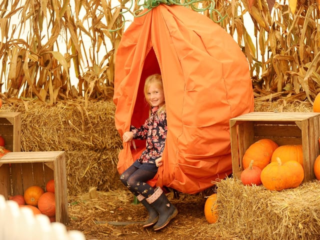 Pictured is: Erin Woodford (6) from Swanmore.
Picture: Sarah Standing (251023-2121)