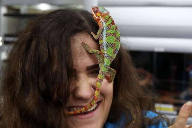 Carmel Landey gets cosy with a pet. Picture: Sam Stephenson