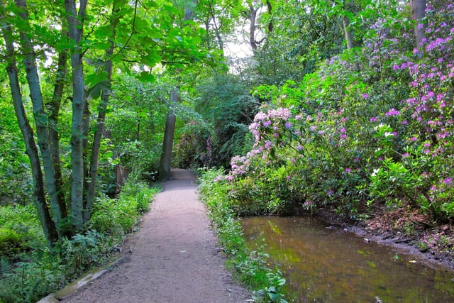 A seven=mile walk from the heart of Leeds to Golden Acre park on the northern fringes. Itâ€™s probably one of the top five urban was in Britain, and most of the time itâ€™s hard to believe you are in an urban area. These woods are beyond Meanwood Park.