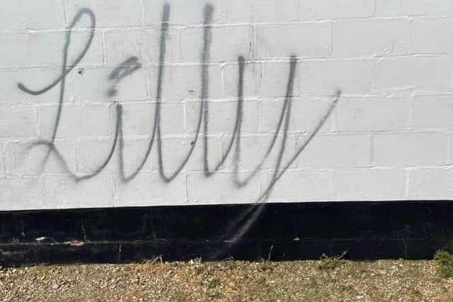 Mr Wilson said he has reported the incidents to the police, and shared footage on social media. Picture: Southsea Model Village.