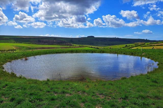 A restored dew pond near Arundel.

 Jeff Travis/PA Wire