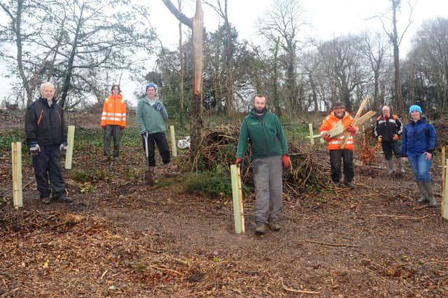 Horndean Parish Council and volunteers from the local area were replanting trees at Catherington Lith Local Nature Reserve after a felling operation to remove trees suffering from Ash Dieback in 2020.
Pictured is: (l-r) Paul Luff, Max Emery, Dave Noble, Matt Madill, Derek Barham, Garry Marshall and Julie Wells.
Picture: Sarah Standing (160221-3043)