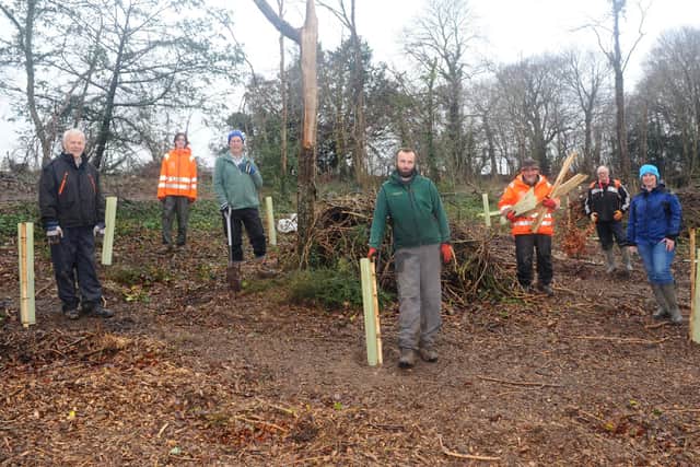 Horndean Parish Council and volunteers from the local area were replanting trees at Catherington Lith Local Nature Reserve after a felling operation to remove trees suffering from Ash Dieback in 2020.

Pictured is: (l-r) Paul Luff, Max Emery, Dave Noble, Matt Madill, Derek Barham, Garry Marshall and Julie Wells.

Picture: Sarah Standing (160221-3043)