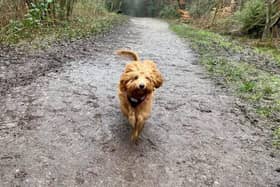 Kaiya went missing on Monday, February 1. Picture: Supplied