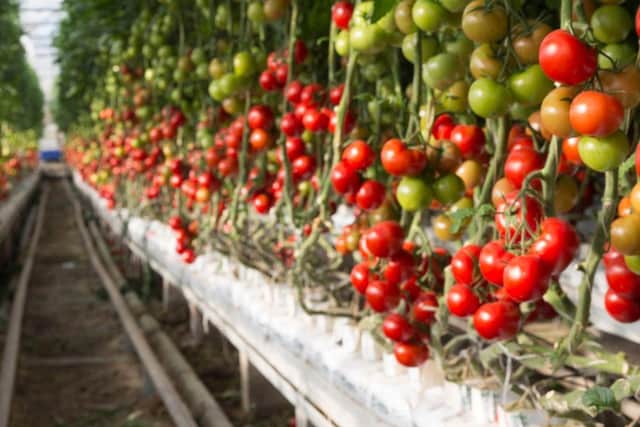 Large scale farming is expensive. Thanks to funding from Defra, UKHarvest can remove some of the financial and environmental concerns