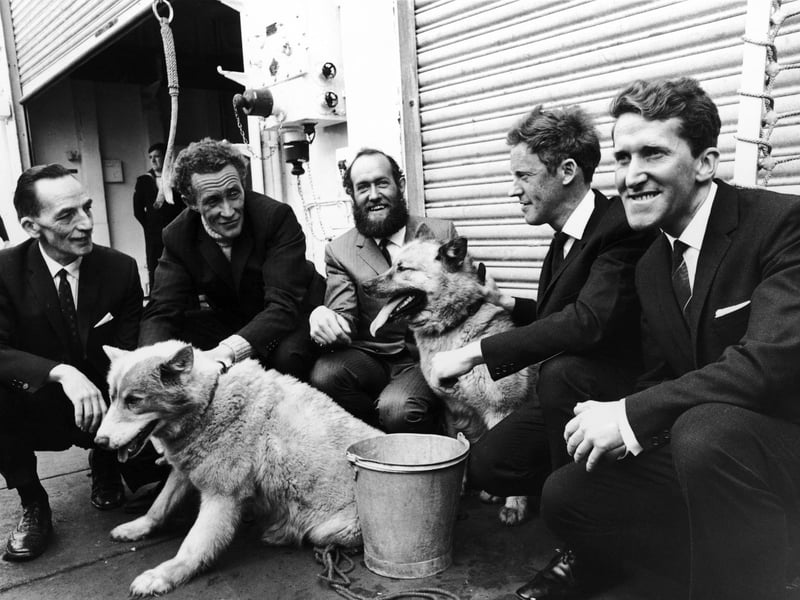 British explorer Wally Herbert, the first man to walk to the North Pole, returns to Portsmouth aboard the HMS Endurance after his 3,800 mile trek across the Arctic, 23rd June 1969. From left to right, his team are squadron leader Freddie Church, general assistant Alan Gill, group leader Herbert, glaciologist Roy Koerner and medical officer Kenneth Hedges. With them are two of the expedition's huskies, Eskimo Nell and Apple Dog. (Photo by Ron Case/Keystone/Hulton Archive/Getty Images)