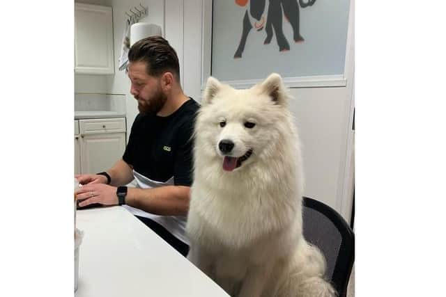 CEO Daniel Pope with wellbeing dog Luna.