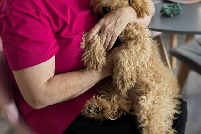 Volunteers Mary and Monty who believe in “Compassion in action”