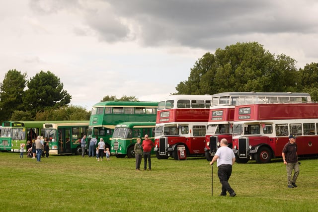 Pictured is: Buses at the show.

Picture: Keith Woodland