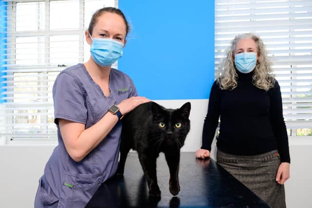 Missing cat Liquorice with St Peter’s vet Ruth Brownlee and his owner Emma Chewter after being reunited thanks to his microchip