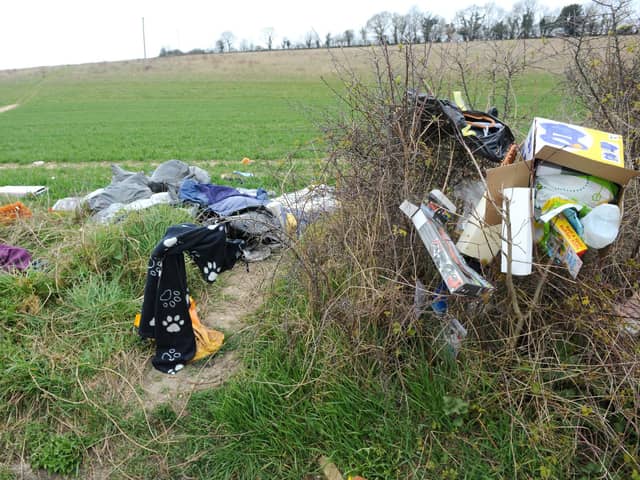Fly-tipping on the A32 Wickham Road between Droxford and Wickham, on Monday, March 30.

Picture: Sarah Standing (300320-7444)
