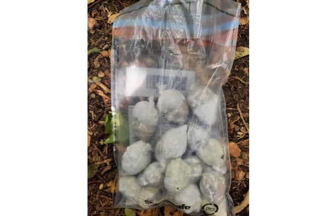 Bags found by police. Picture: Hampshire Constabulary