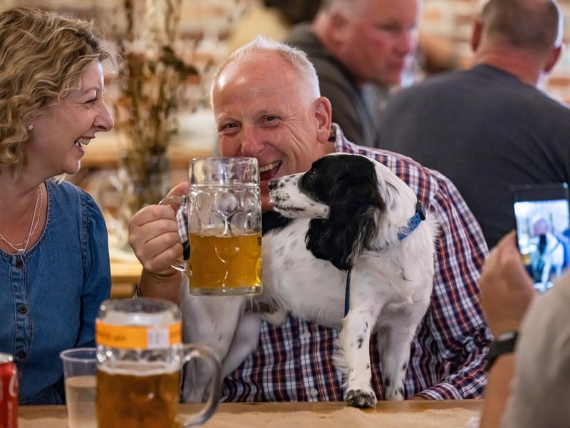 Black & white spaniel 'Cosmo' attending the Oktoberfest in Gosport. Picture: Mike Cooter (011023)