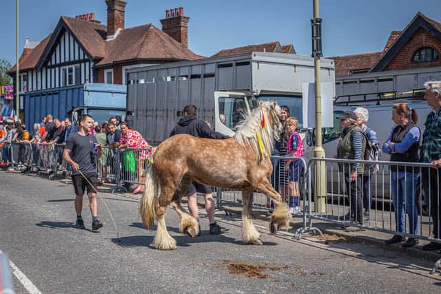People watching the horses at last year’s Wickham Horse Fair.