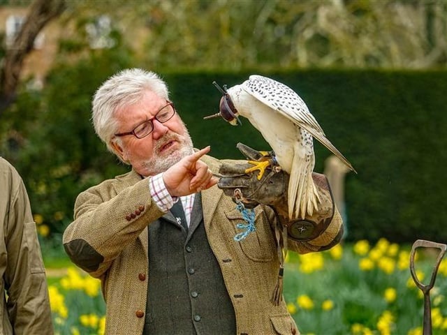 Falconer at Beaulieu