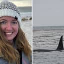 A passionate Portsmouth FC supporter took some stunning pictures of orcas off the coast of Sealion Island, Falkland Islands.

L to R: Sarah May Bonner and the pod of orcas, including parents Baba and Guido, with baby Pompey.