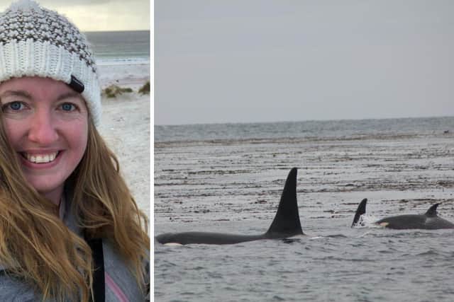A passionate Portsmouth FC supporter took some stunning pictures of orcas off the coast of Sealion Island, Falkland Islands.
L to R: Sarah May Bonner and the pod of orcas, including parents Baba and Guido, with baby Pompey.
