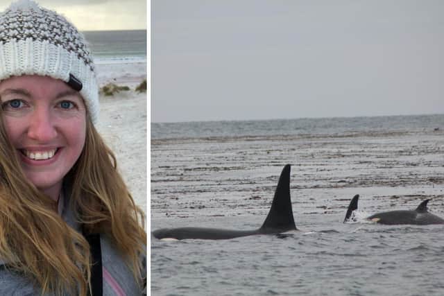 A passionate Portsmouth FC supporter took some stunning pictures of orcas off the coast of Sealion Island, Falkland Islands.

L to R: Sarah May Bonner and the pod of orcas, including parents Baba and Guido, with baby Pompey.