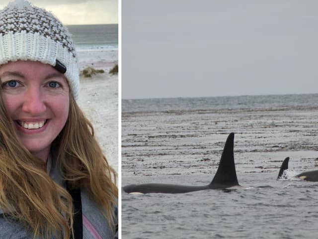 A passionate Portsmouth FC supporter took some stunning pictures of orcas off the coast of Sealion Island, Falkland Islands.

L to R: Sarah May Bonner and the pod of orcas, including parents Baba and Guido, with baby Pompey.