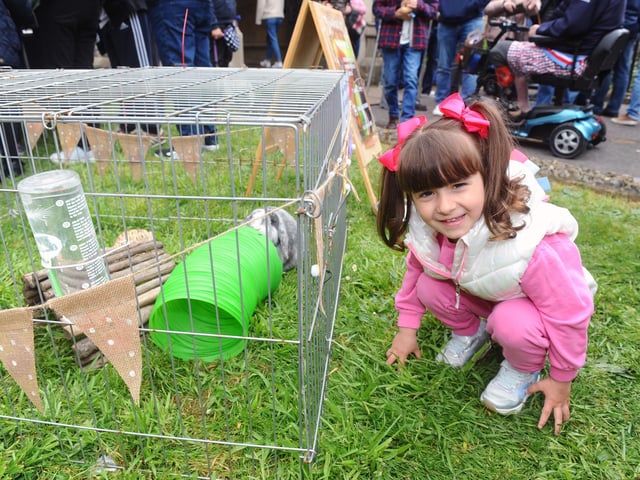 Ella Dogan (3) from Cosham. Picture: Sarah Standing (020522-3293)
