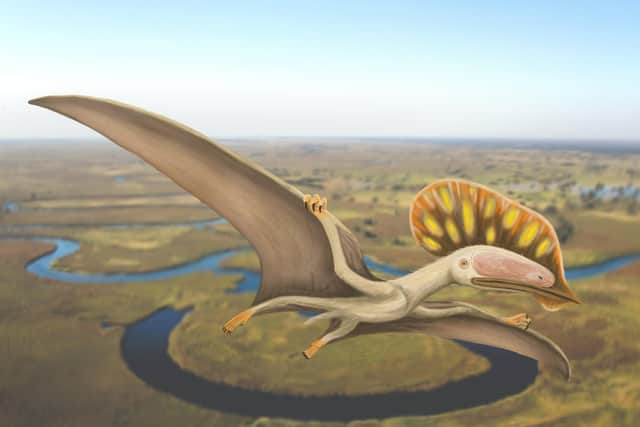 An impression of what Wightia declivirostris is belived to have looked like.