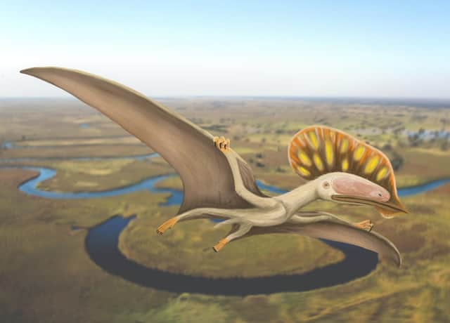 An impression of what Wightia declivirostris is belived to have looked like.