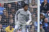 Josh Oluwayemi is earmarked for a loan spell away from Fratton Park next season as Pompey look at potentially bringing in two keepers. Picture: Jason Brown/ProSportsImages
