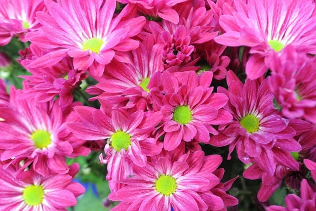 Here's a list of the best florists in Portsmouth.