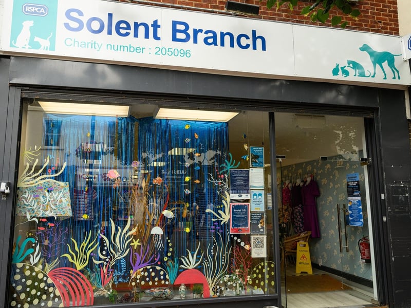 Pictured is: The RSPCA got into the spirit of the event by decorating their shop window
Picture: Keith Woodland (170721-11)