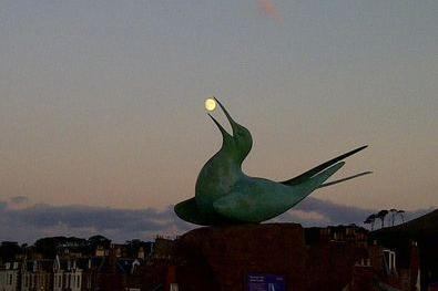 This photo of The Tern in North Berwick is very impressive.