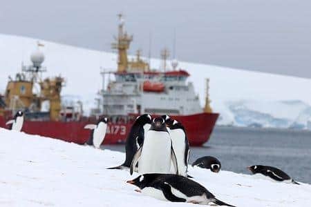 HMS Protector has been involved in many expeditions in Antarctica in the past. Picture: Royal Navy/Crown Copyright.
