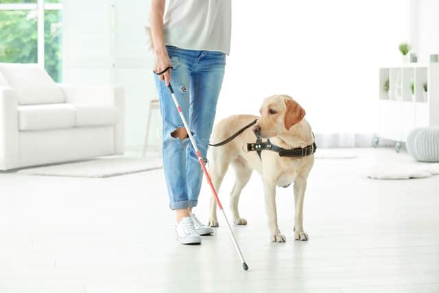 Guide dogs are helping some of the 360,000 people registered blind in the UK.
