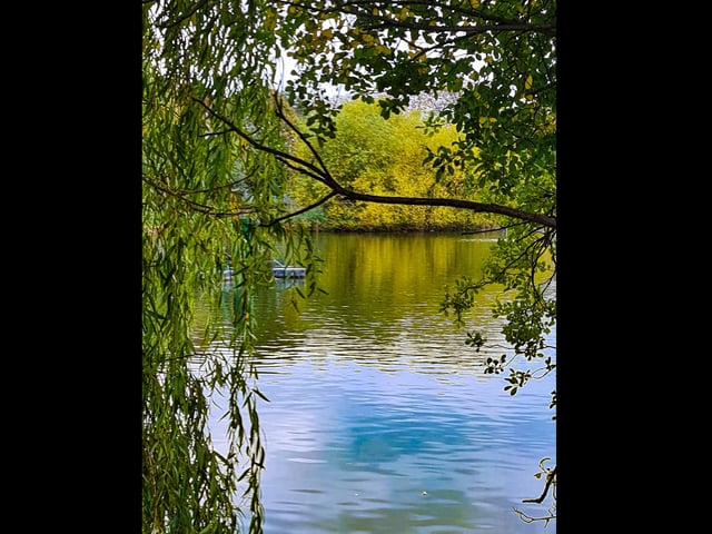Baffins Pond by Louise Hayes