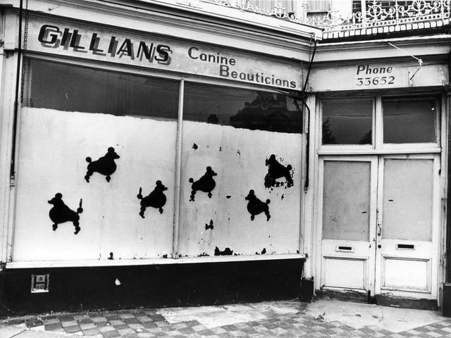 Did you ever take your pooch to Gillians in Fawcett Road? Date unknown.