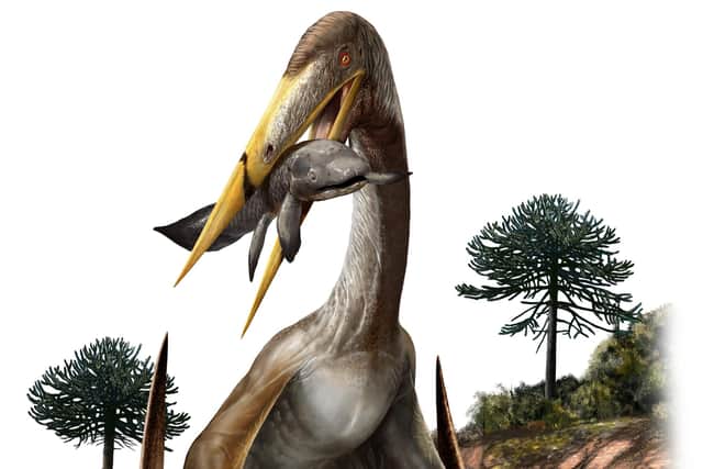 This pterosaur is called Alanqa saharica. Picture: Davide Bonadonna