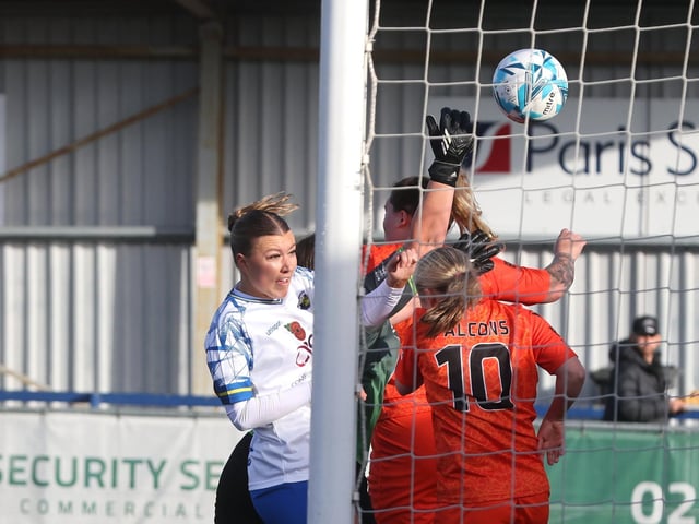 Hawks v Gosport Falcons. Picture: Sam Stephenson
