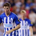 Brighton youngster Jensen Weir has joined Blackpool after being linked with a move to Pompey    Picture: Mike Stobe/Getty Images for Premier League