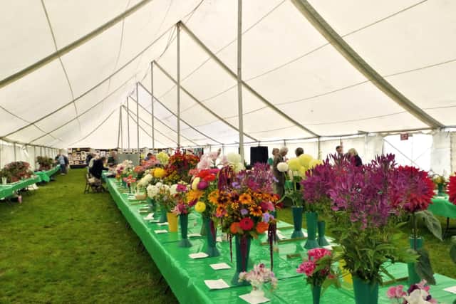 The Emsworth Show in previous years