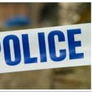 A motorcyclist has died after colliding with a tree in Fort Road in Gosport. Police are calling for witnesses.